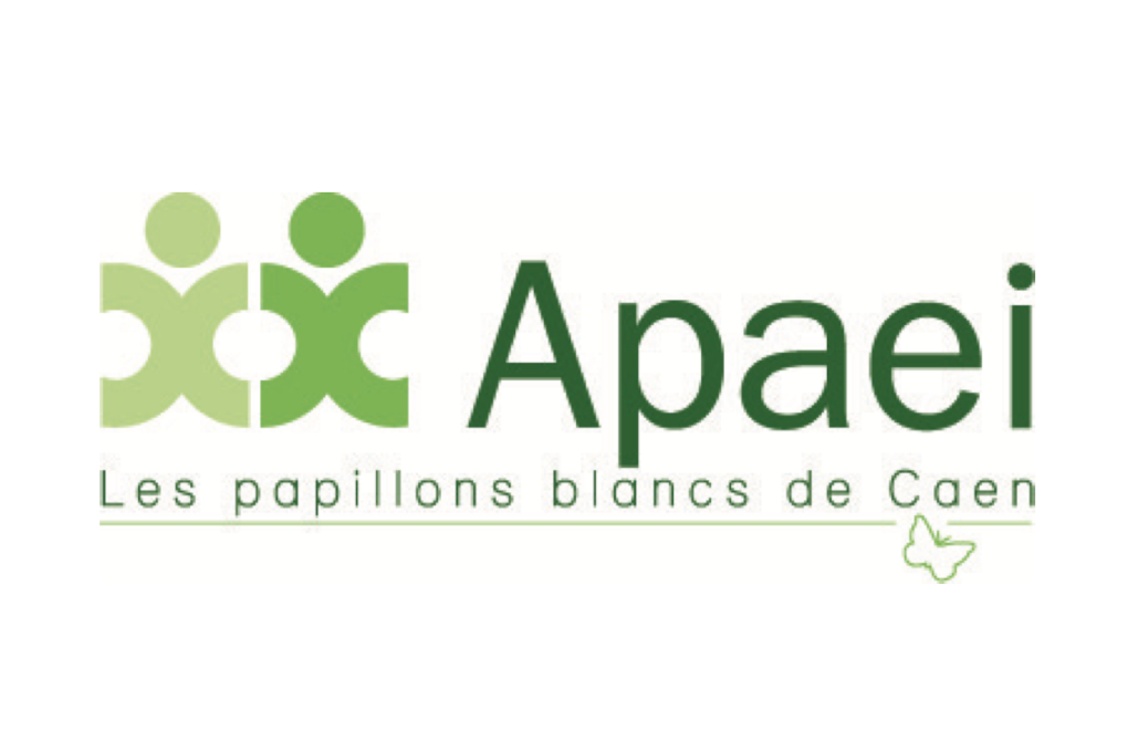 Logo APEI